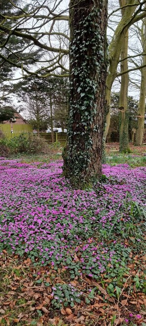 المنطقة المحيطة بالمنشأة
