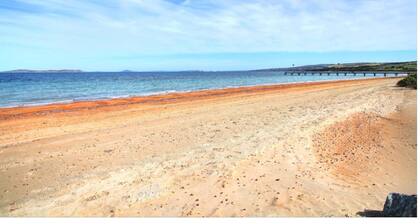 Absolute Beachfront Cottage - Seaside Retreat- Glorious North Shields