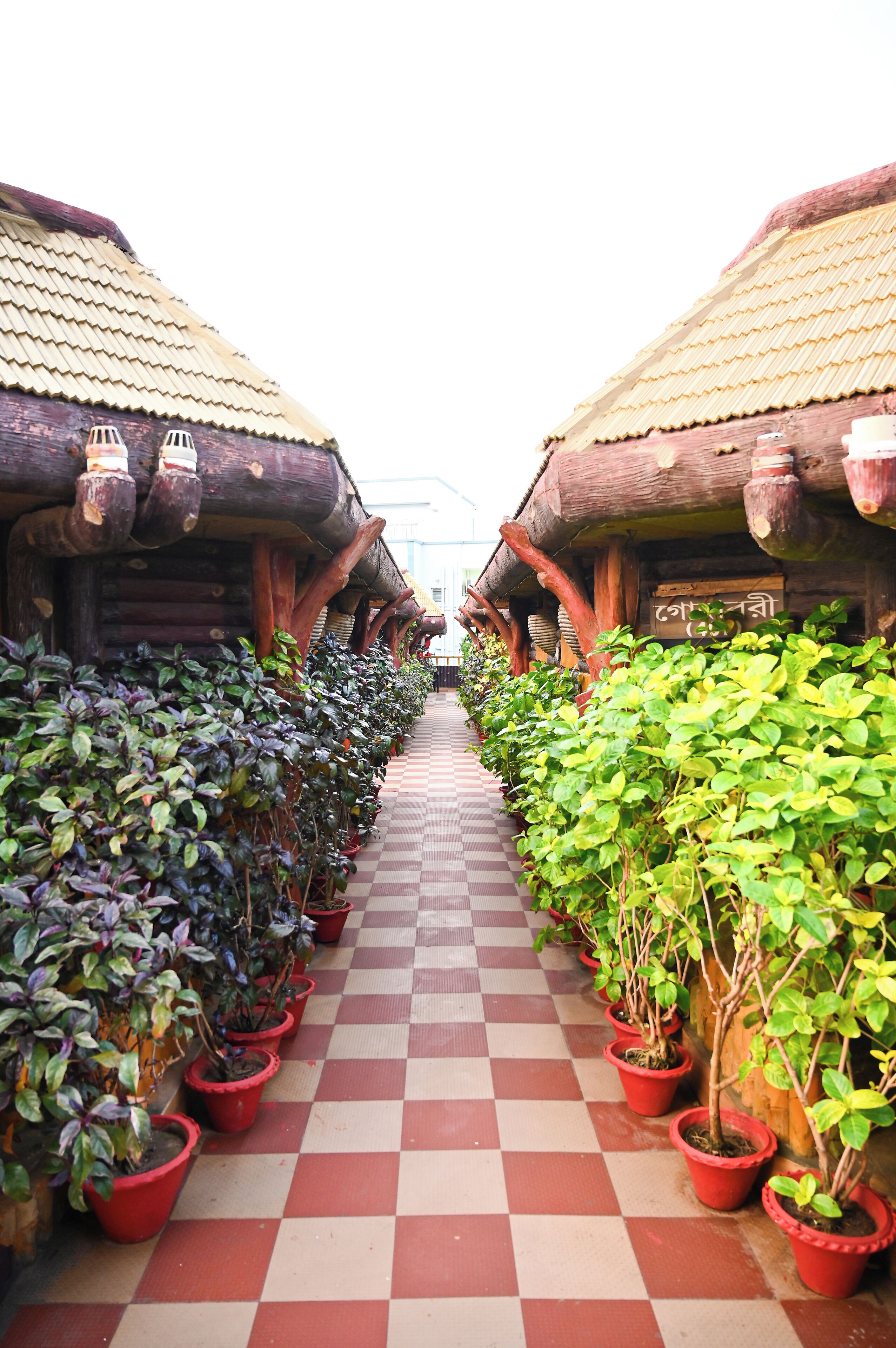 A corridor lined with potted plants and wooden buildings with checkered flooring.