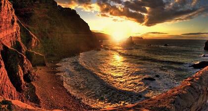 Green Suite en Basque Palace