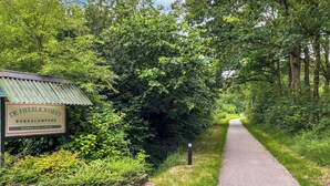 Un parque de bungalows con un sendero pavimentado que atraviesa un área boscosa.