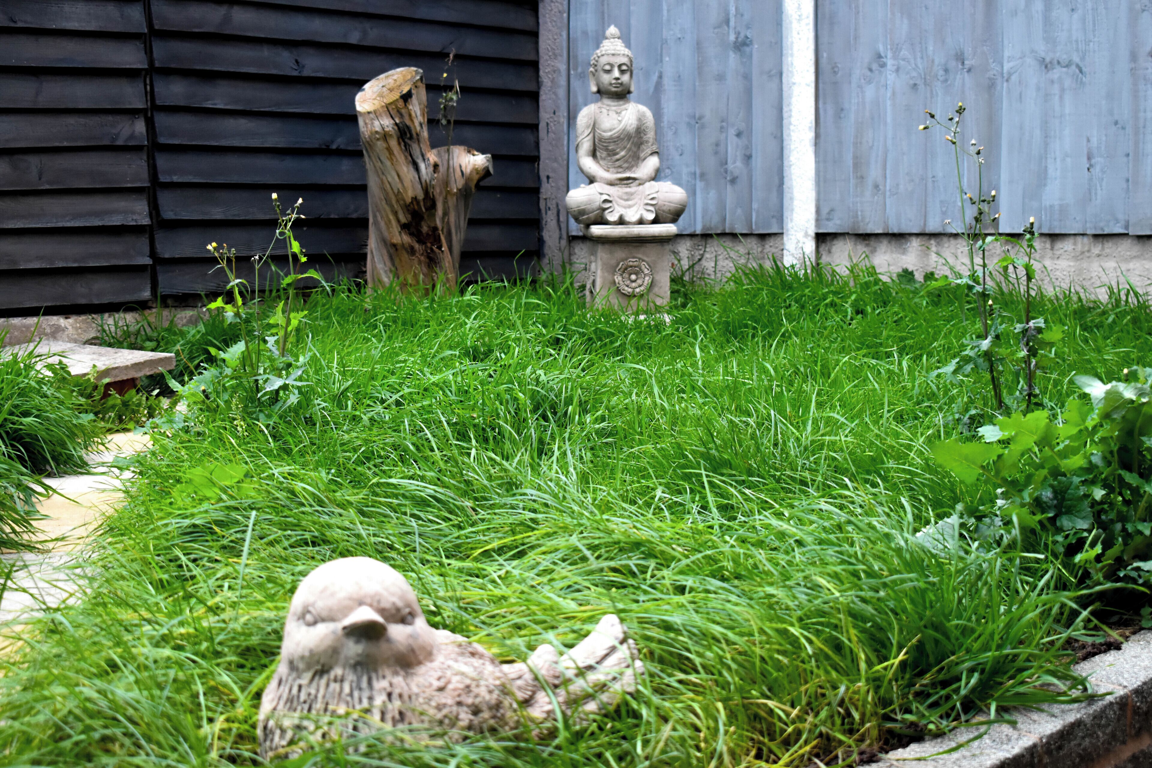 独立别墅, 3 间卧室 | 花园