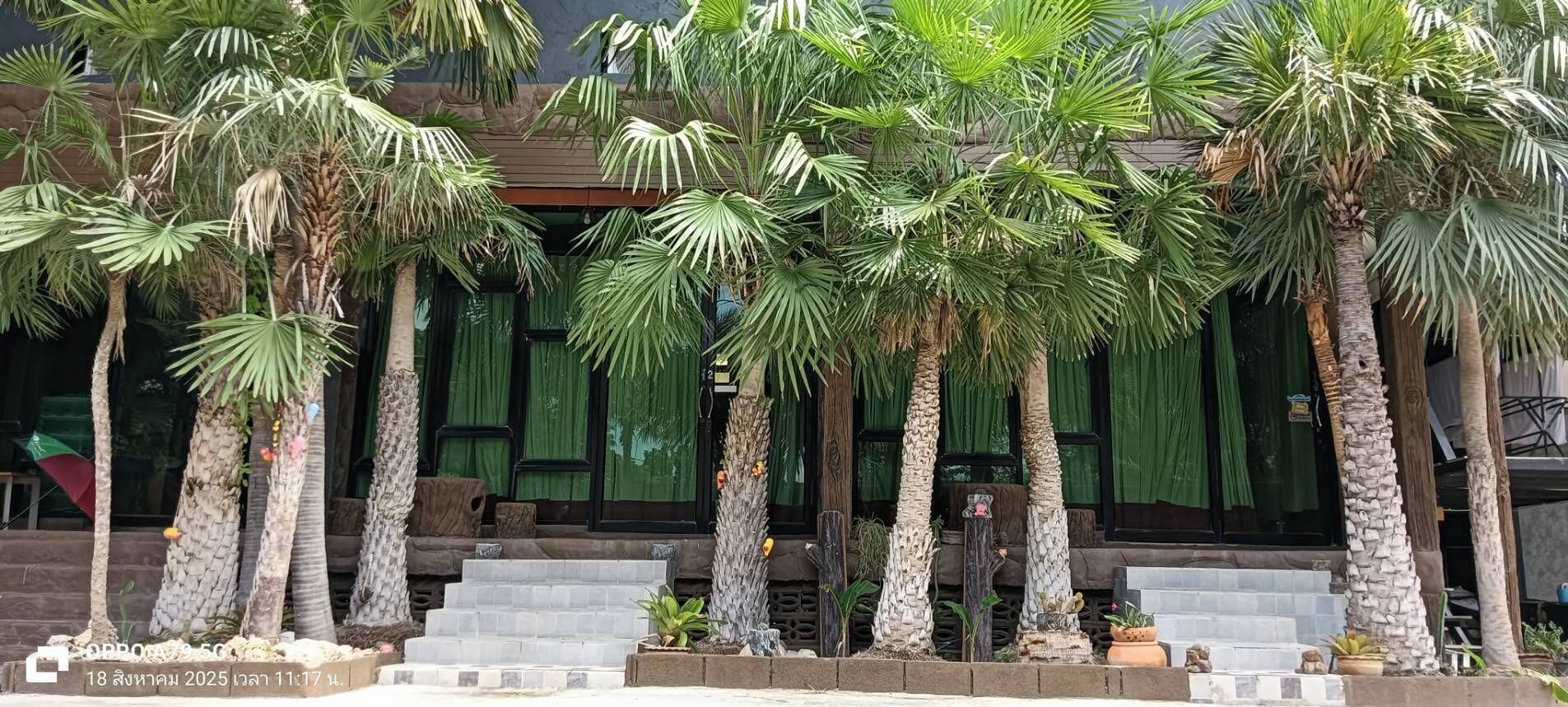 Family Studio Suite, Hill View | Free WiFi