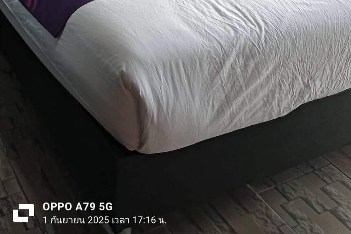 Standard Single Room, Courtyard View | Free WiFi