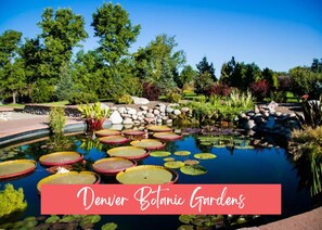 Property grounds - Arvada Retreat: Family & Dog-Friendly, Fire Pit (Arvada)