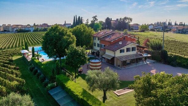 A large house with a swimming pool, surrounded by lush greenery and vineyards.