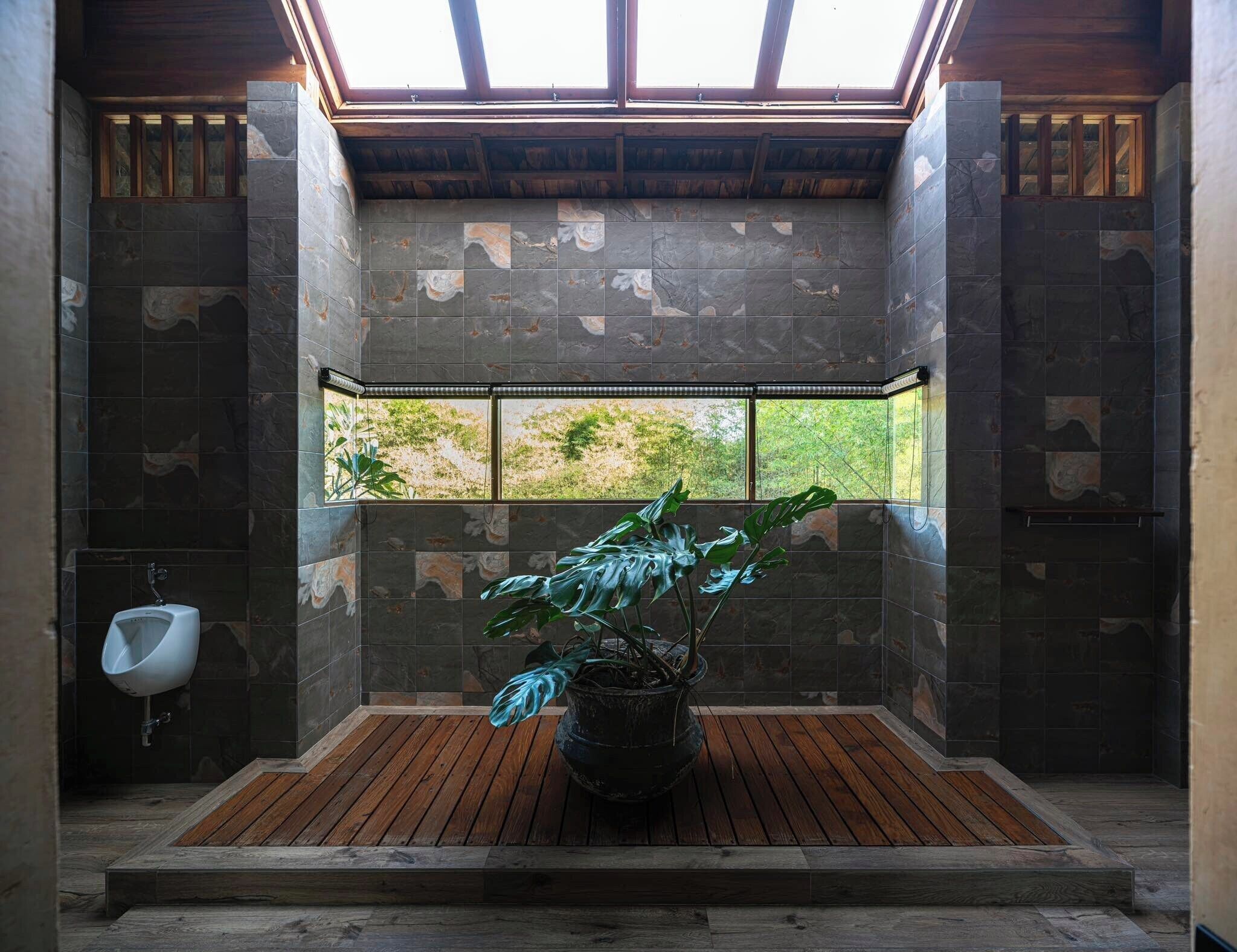 Une salle de bain moderne avec un puits de lumière, des murs en pierre, un plancher en bois et une plante en pot.
