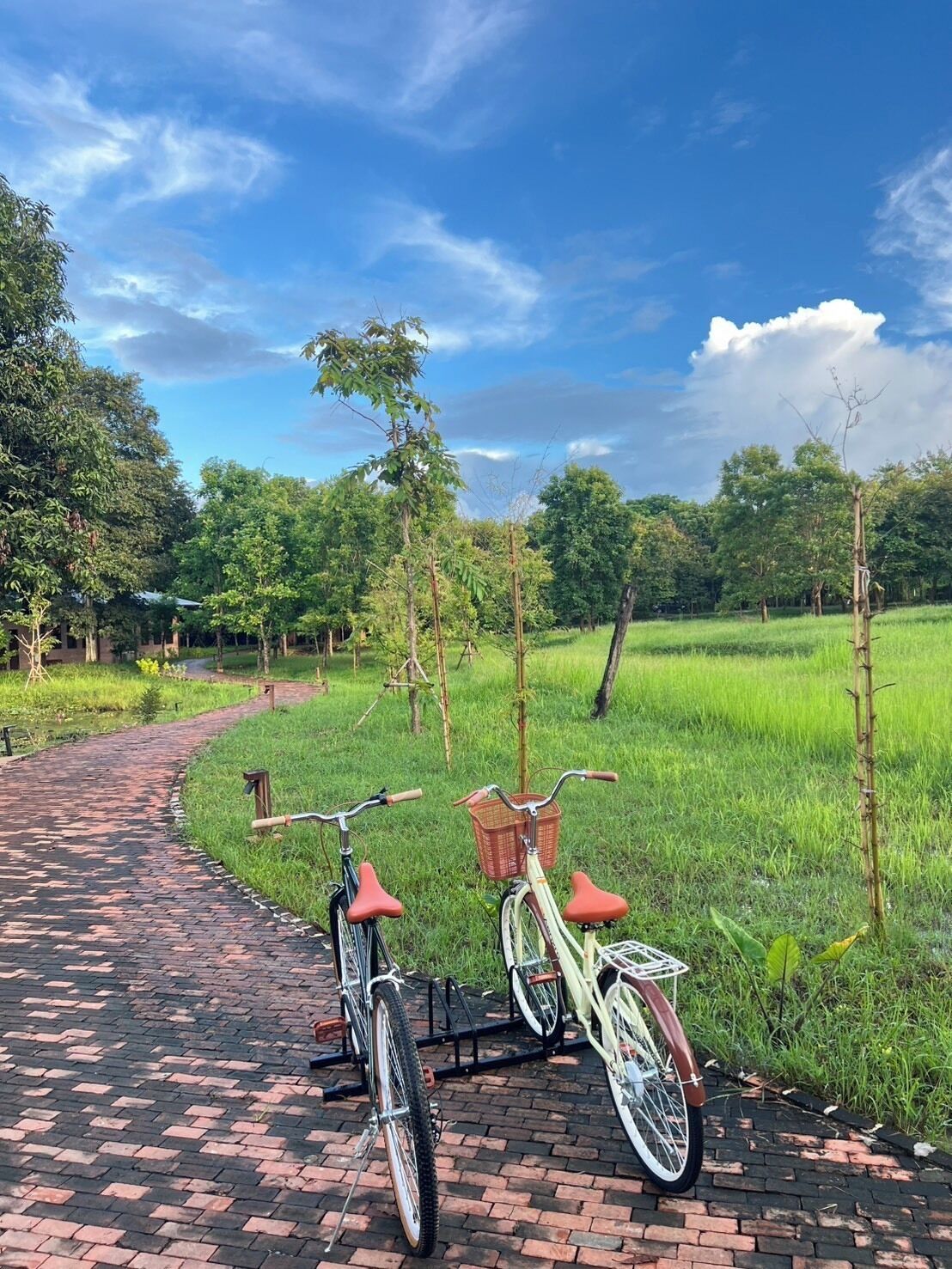 A paved pathway leading through a lush green field with two bicycles parked on the side.