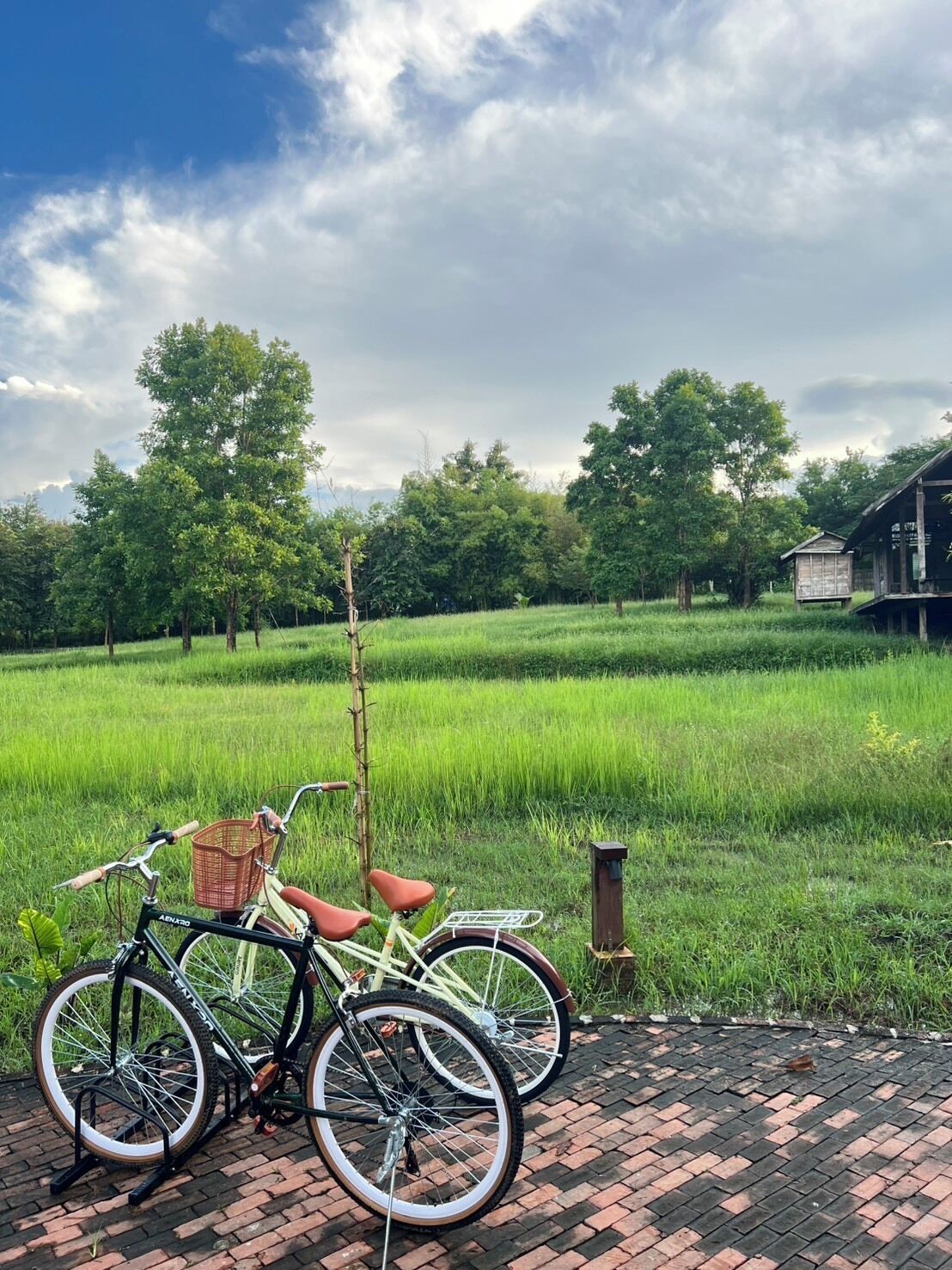 A bicycle parked on a brick path with a field and trees in the background.