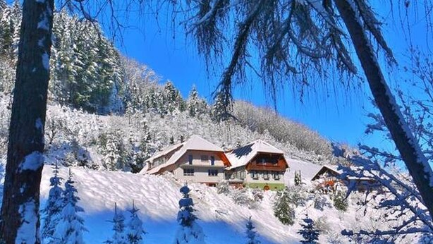 Eine schneebedeckte Lodge mit mehreren Gebäuden, umgeben von Bäumen und einem klaren Himmel.