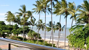 A beach with palm trees and a clear sky. - Beachfront 3-bed With Pool & Stunning Ocean Views (Cairns)