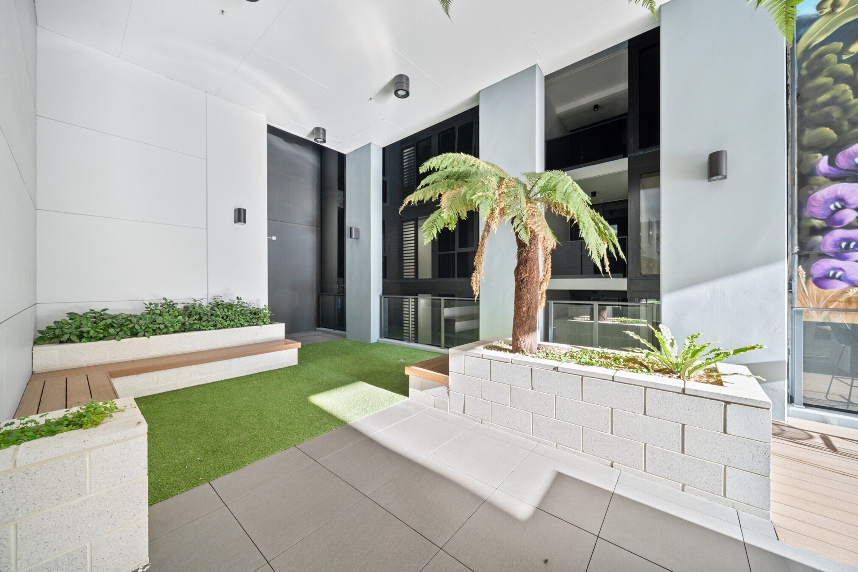 A modern outdoor space with a small lawn, a palm tree, and a brick planter.