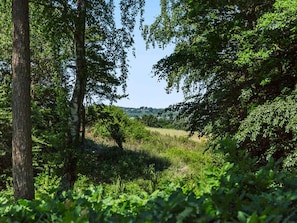 A natural landscape with dense greenery and trees.