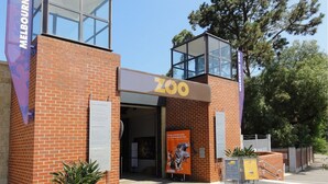 La entrada del zoológico de Melbourne, con un letrero visible, una zona de visualización de vidrio y fachada de ladrillo.