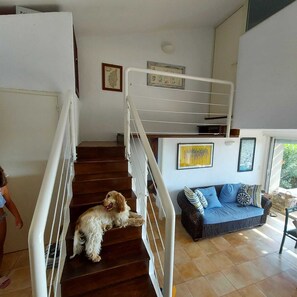 Uma escadaria com um cão nos degraus, um sofá azul e um quadro na parede.