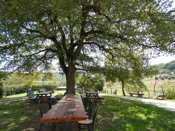 تناول الطعام بالخارج