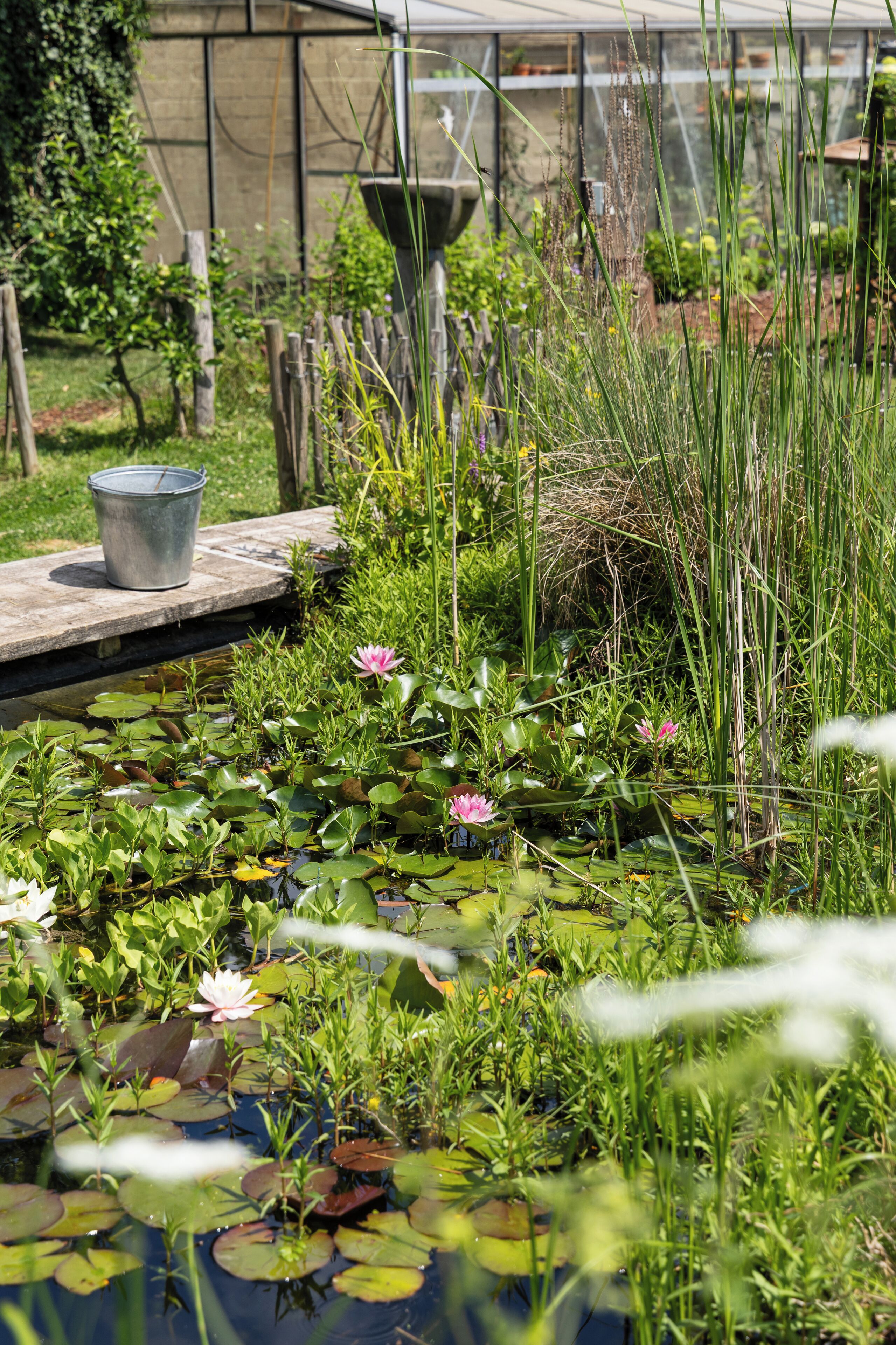 Terrein van de accommodatie