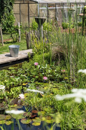 Attractive and luxurious farmhouse for groups! A 5-minute drive from the heart of Maastricht