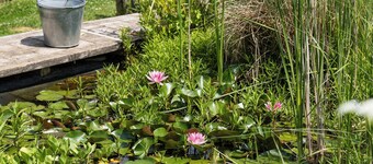 Attractive and luxurious farmhouse for groups! A 5-minute drive from the heart of Maastricht