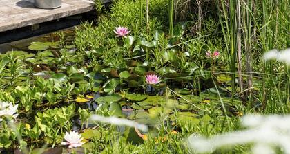 Attractive and luxurious farmhouse for groups! A 5-minute drive from the heart of Maastricht