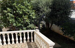 Terrain de l’hébergement 