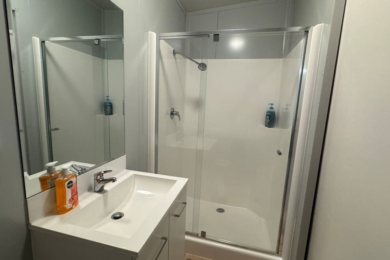 Shower, hair dryer