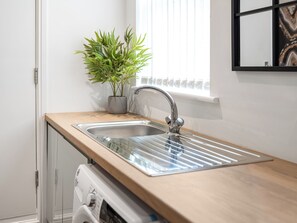 A modern kitchen with a stainless steel sink, wooden countertop, and a potted plant.