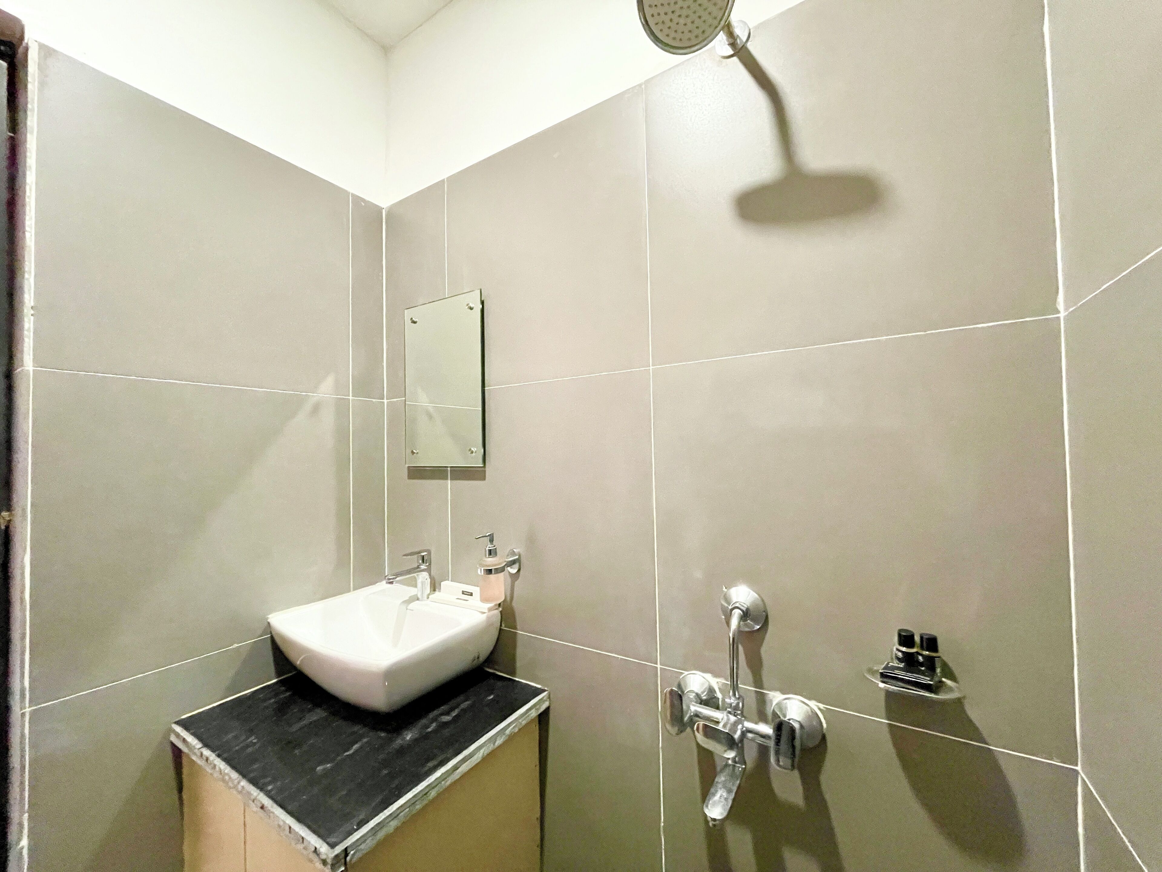 A bathroom with a white sink, a handheld showerhead, and a mirror.