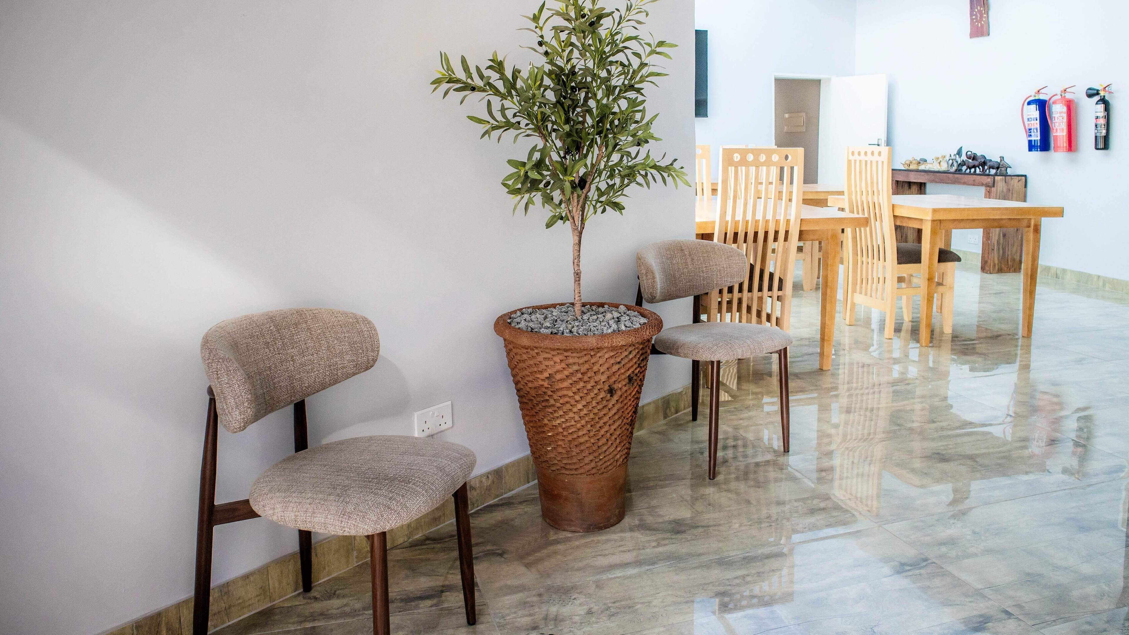 Una habitación con zona de comedor que incluye una mesa y sillas de madera, una planta en maceta y un extintor de incendios montado en la pared.