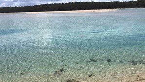 Une plage propre, avec du sable visible et une eau peu profonde.