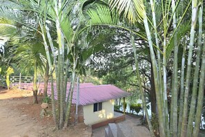 Aerial view - Mahabaleshwar Agro Village (Jaoli)