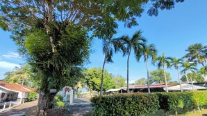 Un sendero conduce a un edificio de techo rojo, rodeado de vegetación y palmeras.