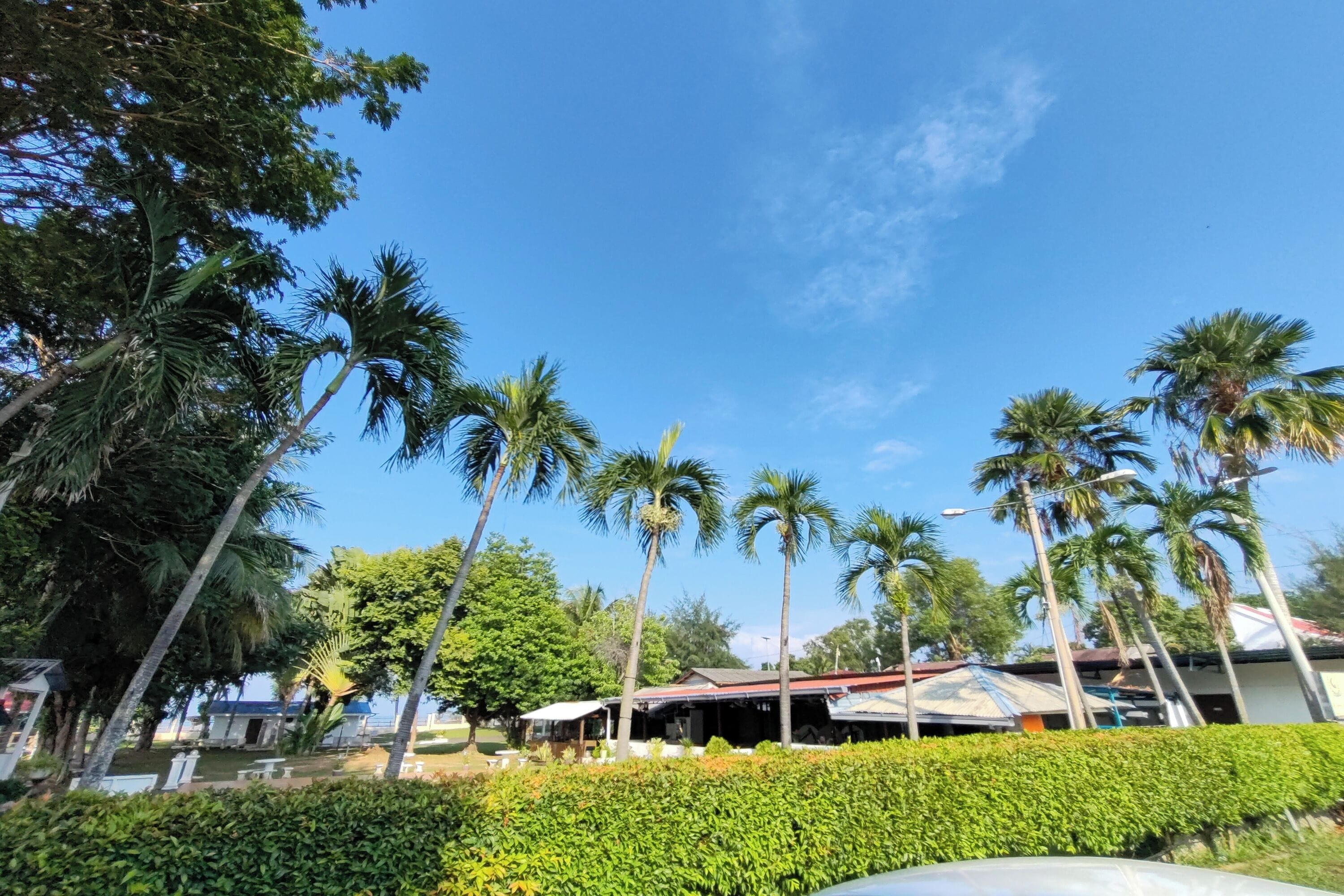 A resort with palm trees, a well-maintained lawn, and a building with a red roof.