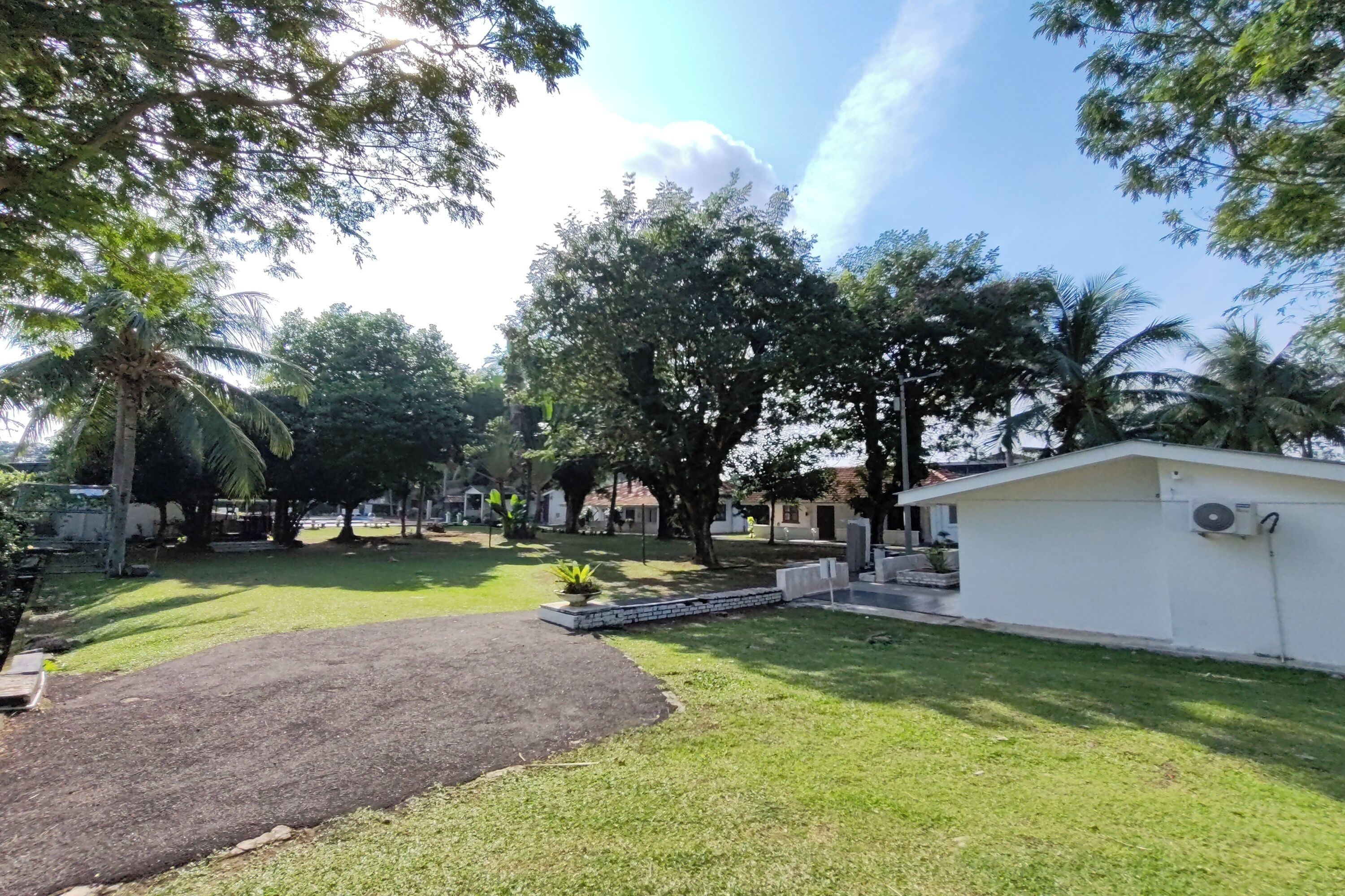 A courtyard with a white building, palm trees, and a grassy area.