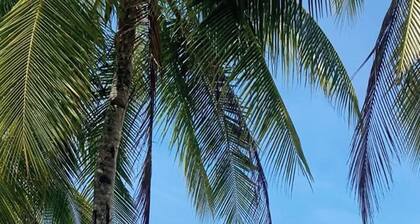 Lazy Daze Hometel Boracay