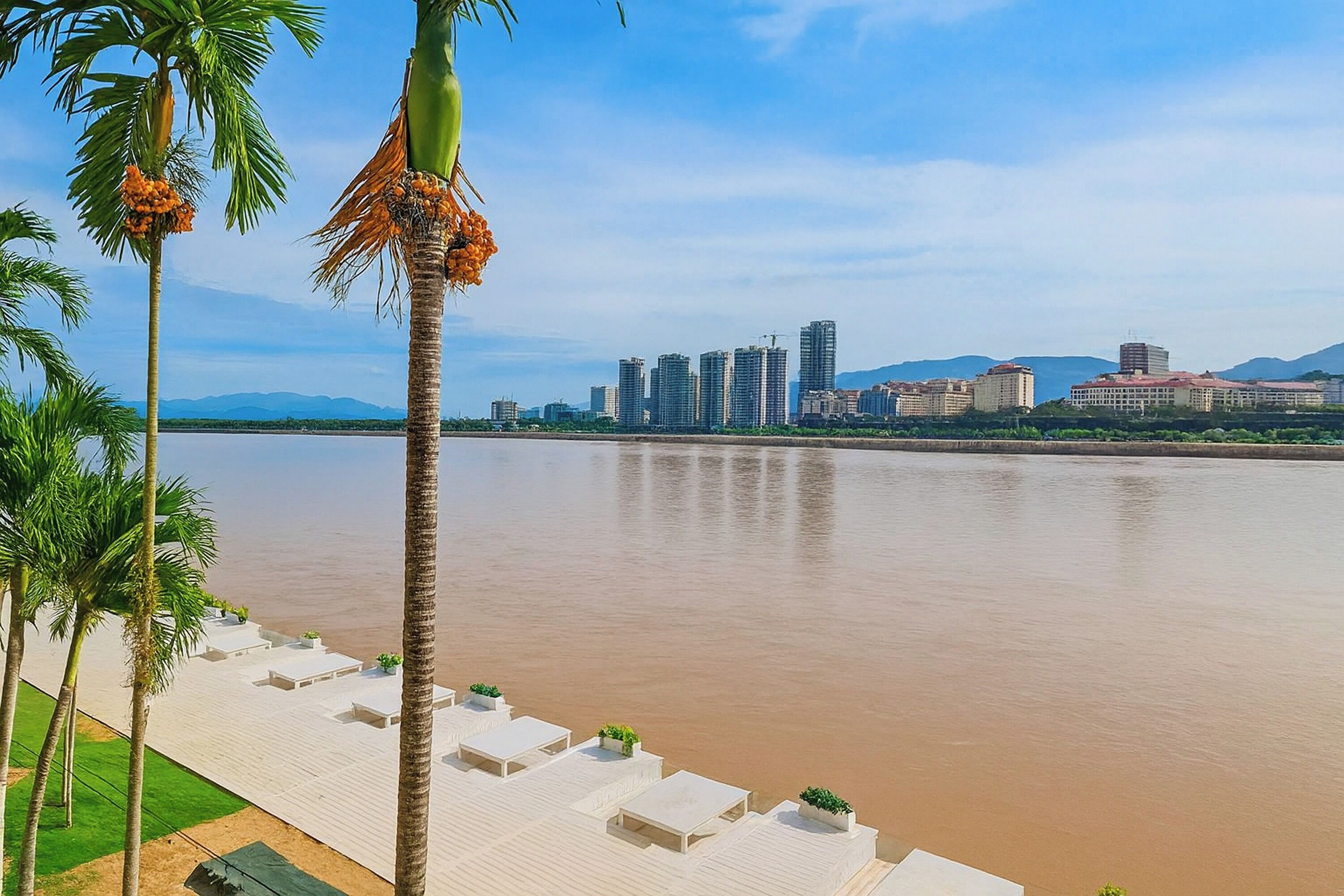 A riverside view with a row of white lounge chairs and palm trees.