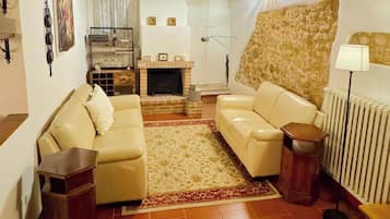 Ein Wohnzimmer mit Kamin, zwei Sofas, einem Teppich und einer Heizung.