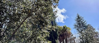 San Gemini Fiori - InBorgo