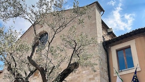 A building with a large tree in front, a stone facade, and flags on the right.