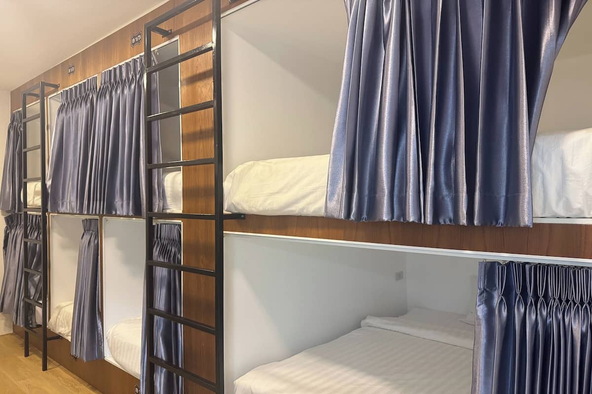 A bunk bed room with curtains and a ladder.