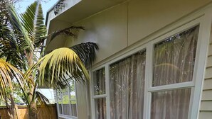 A house with a covered porch, a palm tree, and a large bush in the front yard. - Northshore Central Cosy & Comfortable 3BR Home (Auckland)