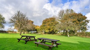 Een picknickplaats met twee houten picknicktafels op een grasveld, omringd door bomen en een heldere lucht.