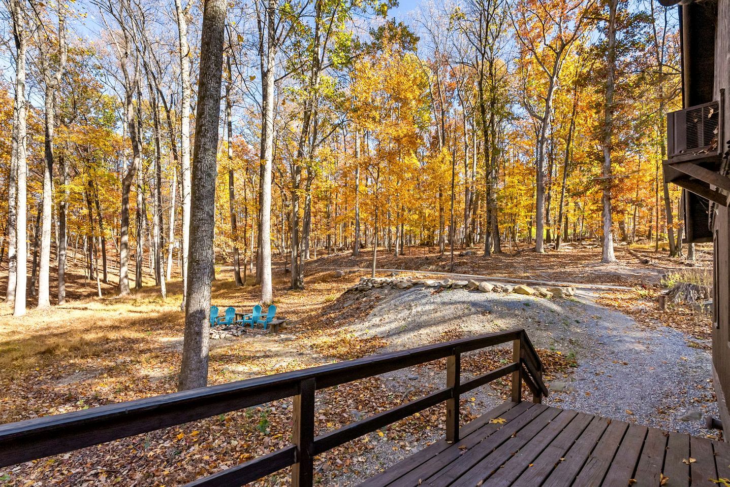 A forested area with a wooden deck and a gravel path leading to a building.