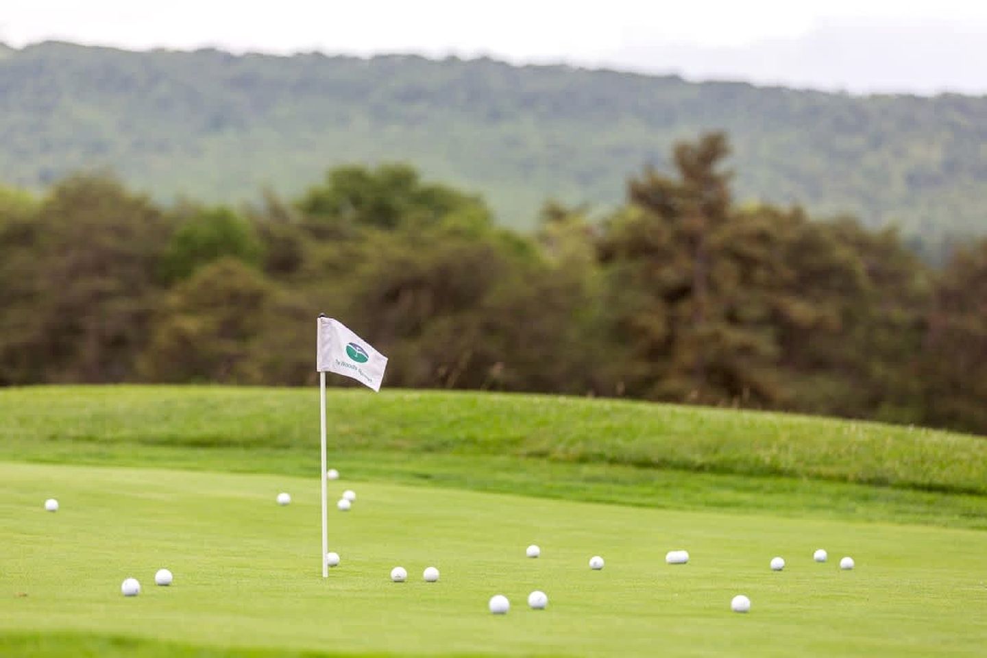 En golfbane med et flag på flagstang, omgivet af et grønt område og træer i baggrunden.