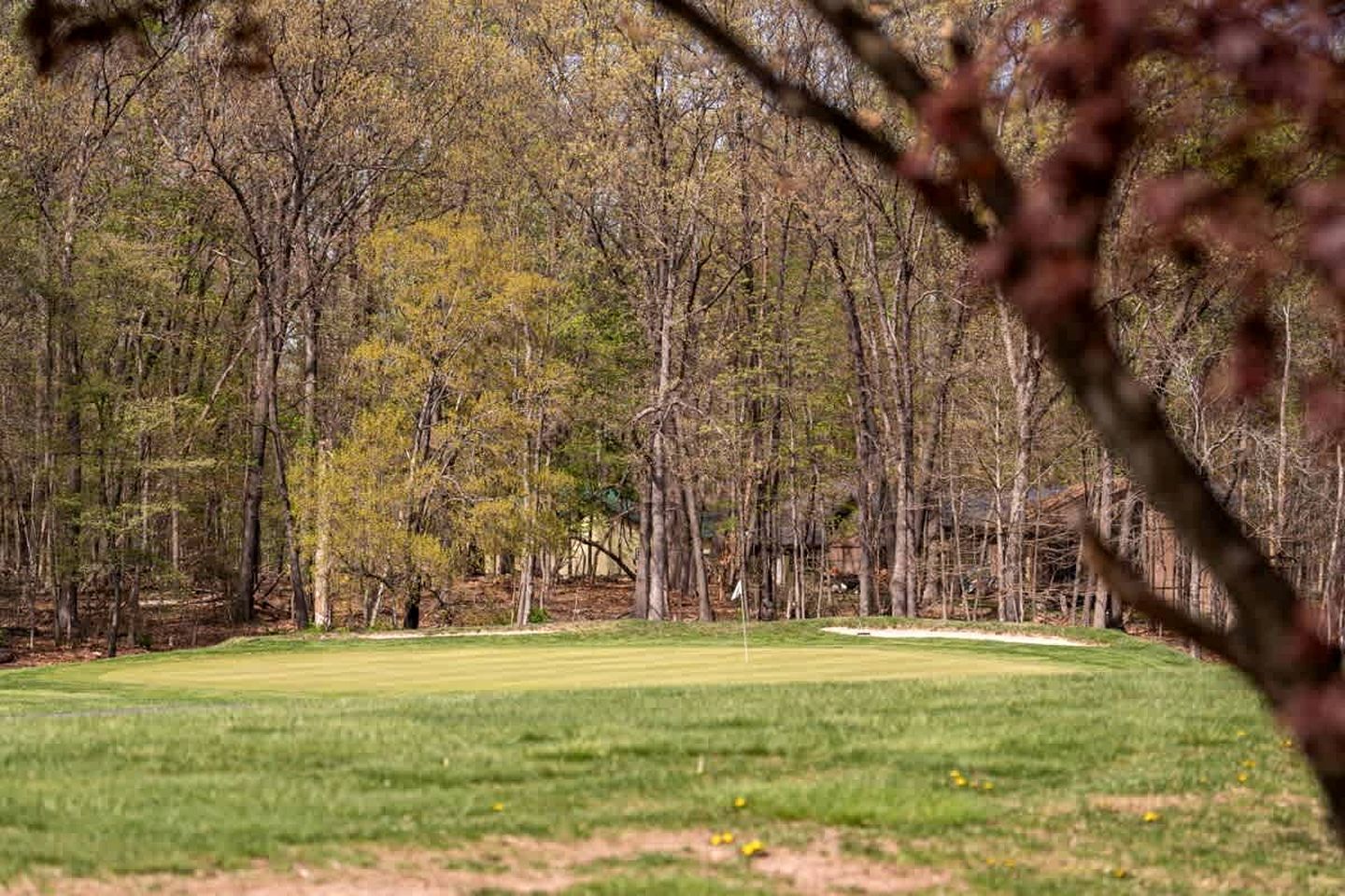 A golf course with a well-maintained green, surrounded by tall trees and a clear sky.