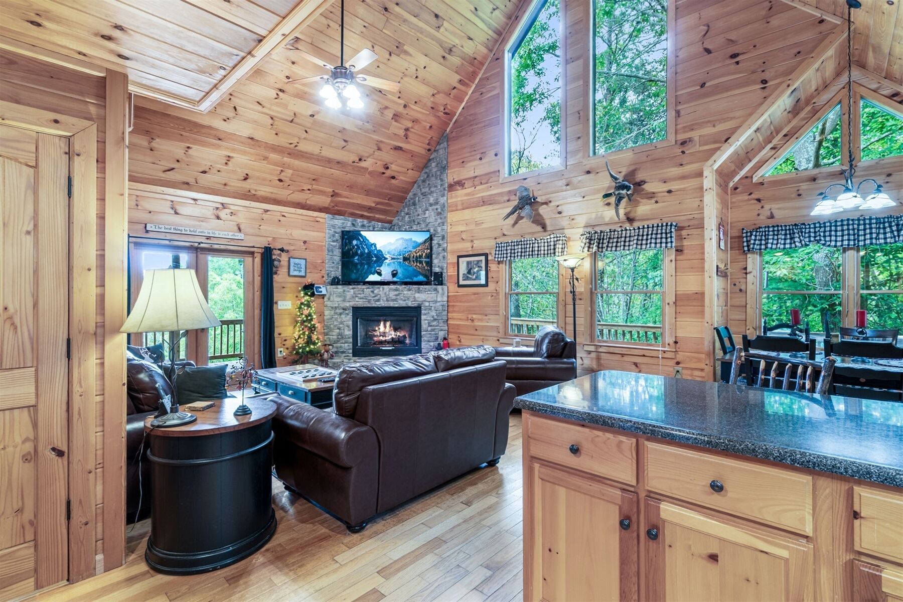 Smart TV, fireplace, stereo