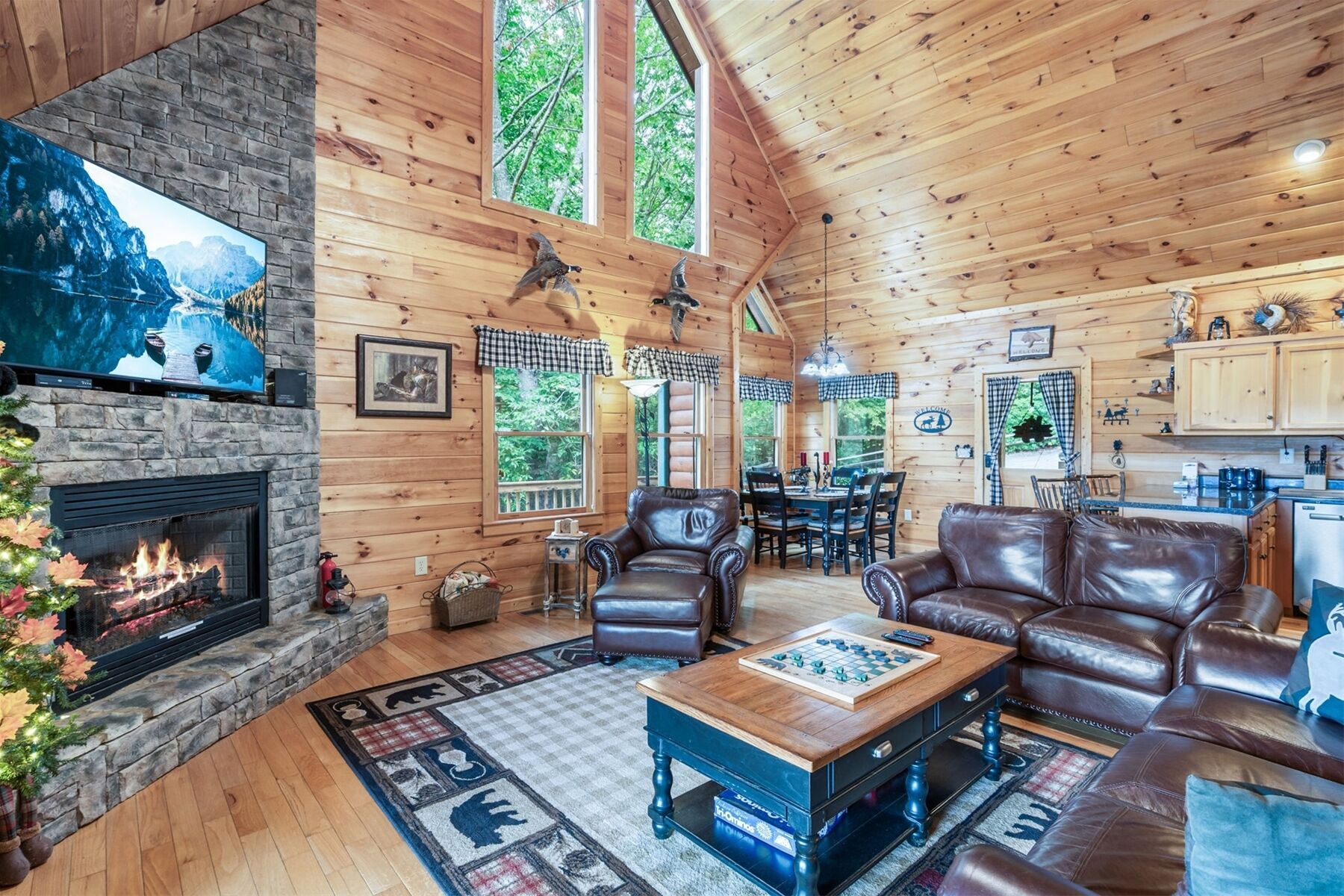 TV connectée, cheminée, chaîne hi-fi