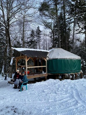 Property grounds - Cozy Yurt in the Peaceful Woods in Chatham, NH (Chatham)