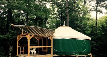 Cozy Yurt in the Peaceful Woods in Chatham, NH