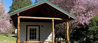 Cozy Cabin near Trailheads and Waterfalls in the Umpqua National Forest, Oregon